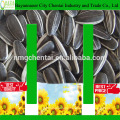 Export 2019 striped black bulk organic hybrid turkish sunflower seed